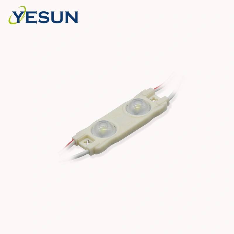 Module LED YS-MD2321 à 2 LED SMD2835 pour injection ABS