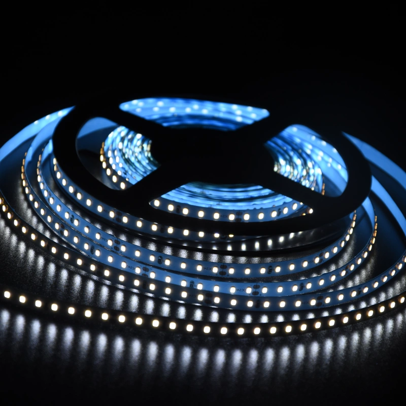 Fashion Case 5 Fashion Case 5