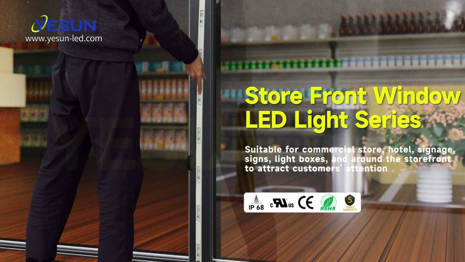 Linear Concept (Store Front Lighting)